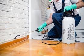 Best Residential Pest Control  in Ironton, OH